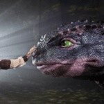 How to Train Your Dragon (Live Action) how to train your dragon live action