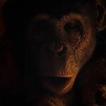 primate 2026 11
