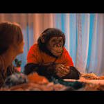 primate 2026 12