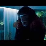 primate 2026 13
