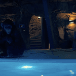 primate 2026 15