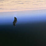black knight satellite