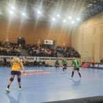 corona brasov – viborg 28–34 4