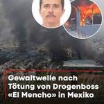el mencho 6