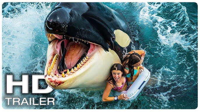 killer whale 0