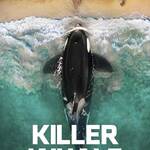 Killer Whale 2026