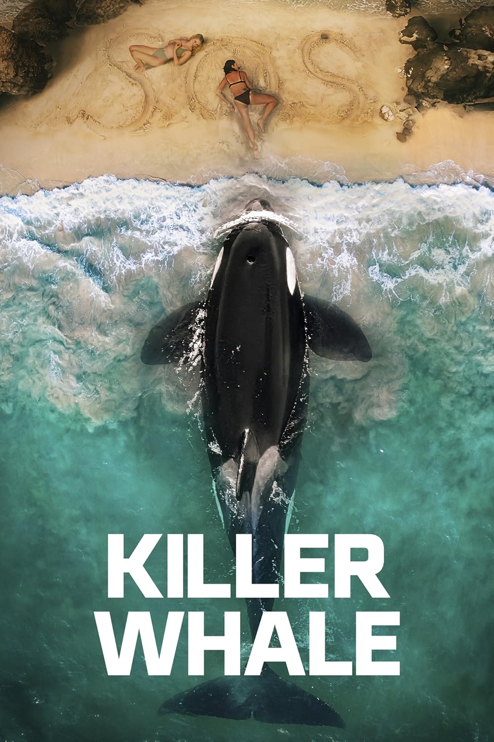 Killer Whale 2026