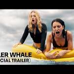 killer whale 3