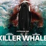 killer whale 4