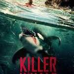 killer whale 7
