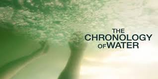 the chronology of water 4