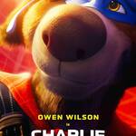 charlie the wonderdog 2026 0