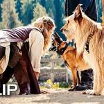 Eat Pray Bark (2026) 2