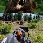 Grizzly Night