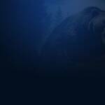 Grizzly Night