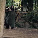The Hermit Scaled