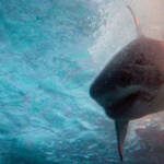 Deep Water (2026) 3