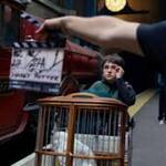 Finding Harry The Craft Behind the Magic Special (2026) 2