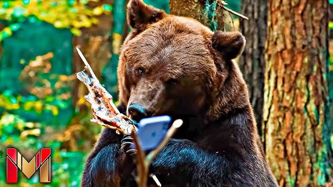 Papa Bear (2026) 4