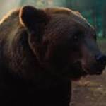 Papa Bear (2026) 8