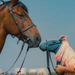 Pferd am Stiel (2026) 0