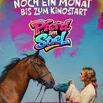 Pferd am Stiel (2026) 8