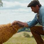 The Sheep Detectives (2026) 2