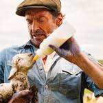 The Sheep Detectives (2026) 8
