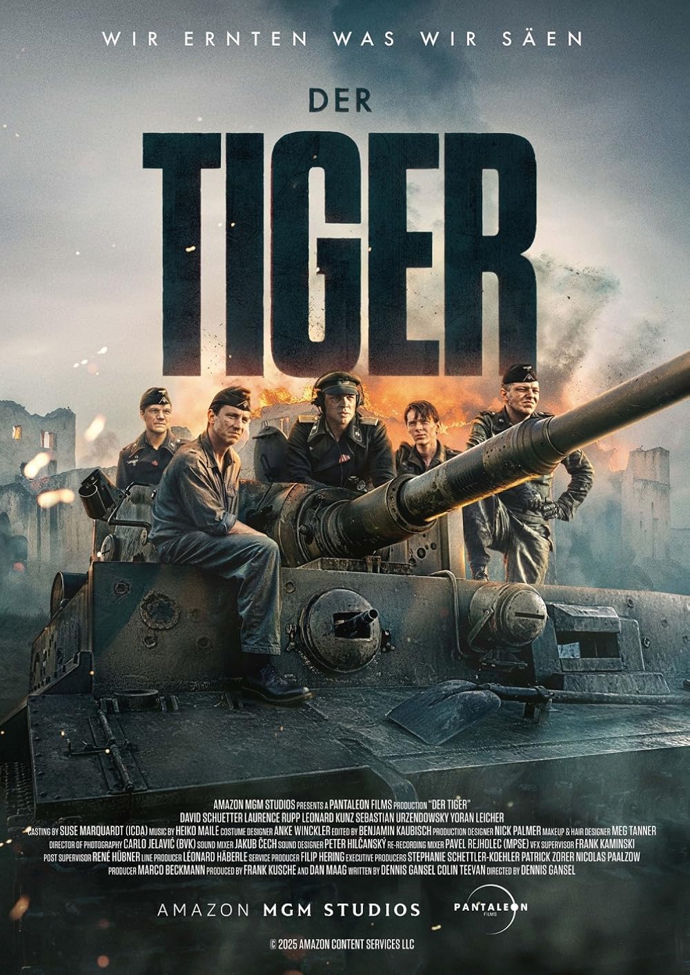 The Tiger (2026)
