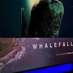 Whalefall (2026) 8